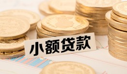 北京急用钱哪里有小额贷款-北京急用钱身份证贷款平台-北京急用钱民间短借